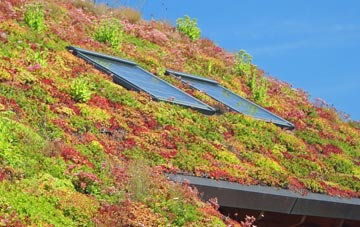 Wetherby living roof systems